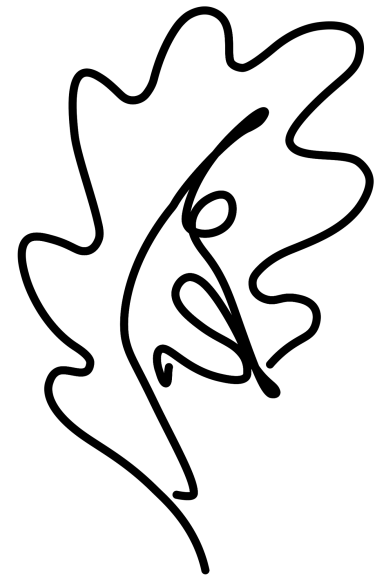 Yoga Eichen